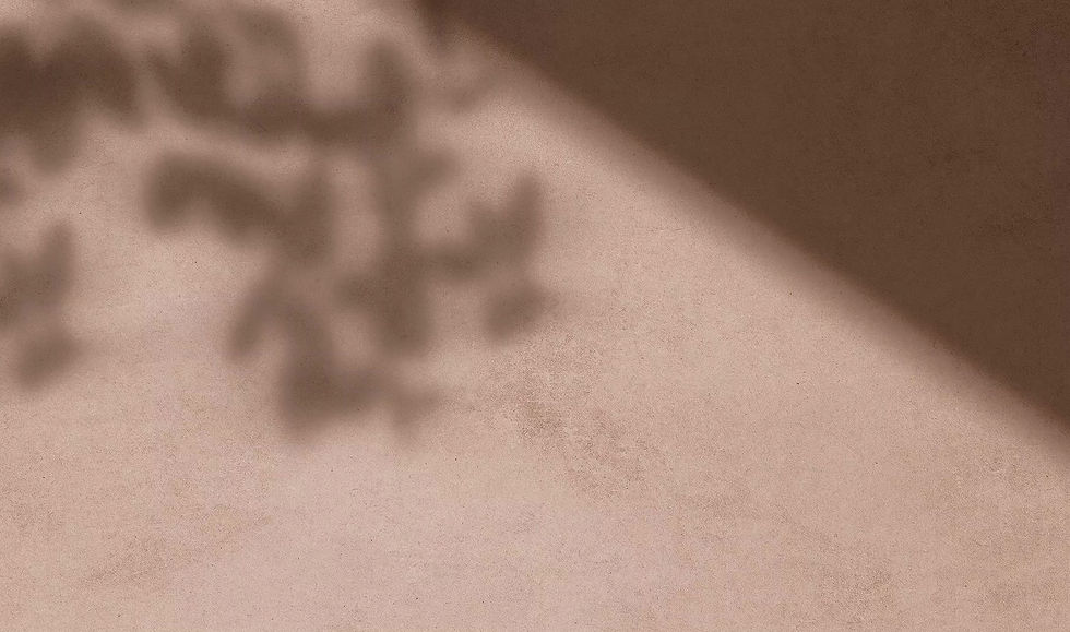 Shadow